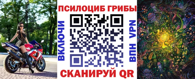 Псилоцибиновые грибы Psilocybe  Подпорожье 