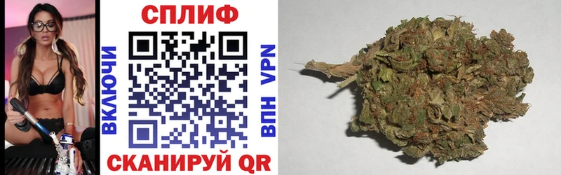 Конопля SATIVA & INDICA OMG онион Подпорожье сколько стоит